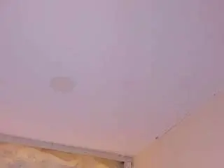 Camsoda Best Webcam of sofiathonsonn