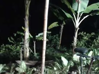 Camsoda Live Porn of reina-mature