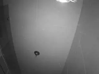 Camsoda Adult Video Chat of voyeurcam-casa-salsa-bathroom-11