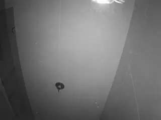 Camsoda Watch Live Sex Cams of voyeurcam-casa-salsa-bathroom-11