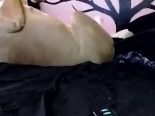 Camsoda Live Porn of 1800fu