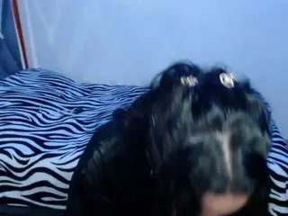 Camsoda Adult Webcams of callmeamber1