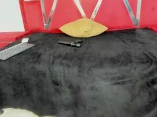 Camsoda Sex Chat of ambarglowasm