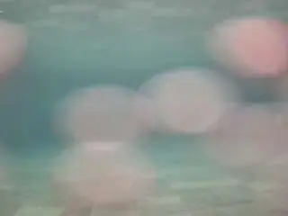 Camsoda Best live sex cam show of voyeurcam-casa-salsa-pool-1