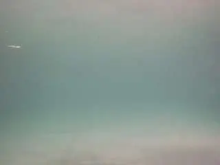 Camsoda Watch Live Sex Cams of voyeurcam-casa-salsa-pool-1