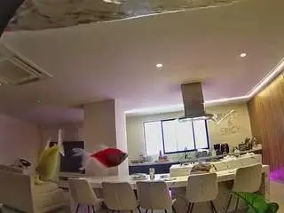 Camsoda Watch Live Sex Cams of voyeurcam-casa-salsa-fishtank