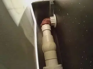 Camsoda Free Porn Cam of voyeurcam-casa-salsa-fishtank