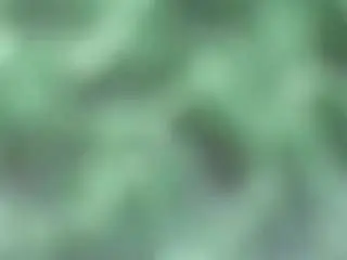 Camsoda Watch Live Sex Cams of stalliontheesavage