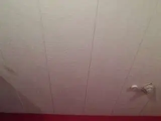 Camsoda Live Porn of stalliontheesavage