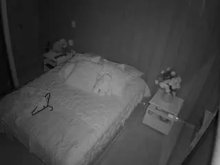 Camsoda Live Sex of voyeurcam-casa-salsa-bedroom-7