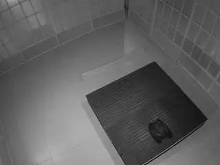 Camsoda Private Sex Chat of voyeurcam-jb-room-5