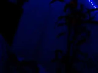 Camsoda Best live sex cam show of apriljades18
