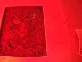 Camsoda Free Porn Cam of voyeurcam-casa-salsa-hottub-view