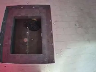 Camsoda Live Porn of voyeurcam-casa-salsa-hottub-view