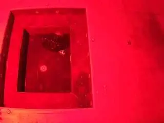 Camsoda Watch Live Sex Cams of voyeurcam-casa-salsa-hottub-view