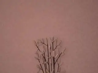 Camsoda Nude Webcam of annellewashup