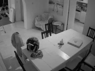 Camsoda Nude Webcam of voyeurcam-julmodels-dining