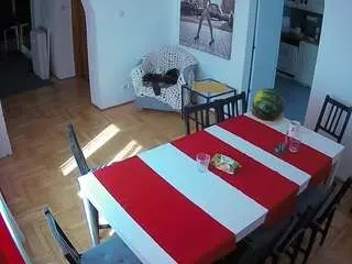 Camsoda Adult Webcams of voyeurcam-julmodels-dining