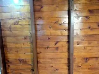 Camsoda Sex Chat of megan-charles
