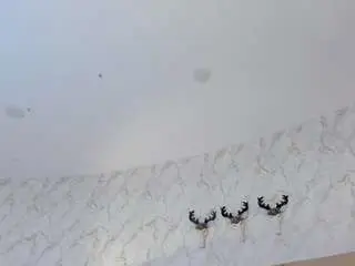 Camsoda Live Sex Cam of kendalprince