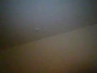 Camsoda Adult Webcam of bigvibing