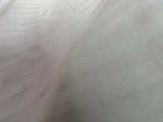 Camsoda Sex Chat of jeannettetep