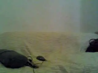 Camsoda Sex Chat of hotarea339