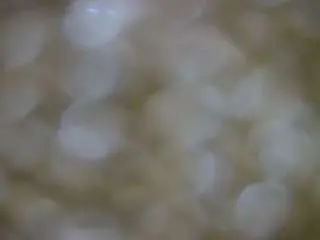 Camsoda Sex Cam of voyeurcam-casa-salsa-versus-room