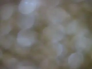 Camsoda Free Porn Cam of voyeurcam-casa-salsa-versus-room