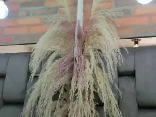 Camsoda Best Webcam of jessy-cortes