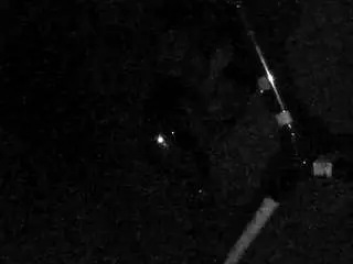 Camsoda Live Sex Cam of voyeurcam-charleys-bathroom