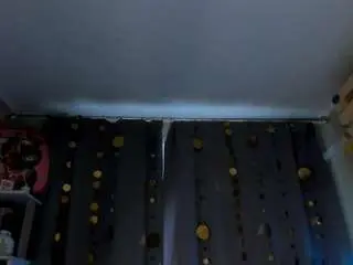 Camsoda Adult Webcams of jess-lui