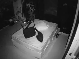 Camsoda Live Porn of voyeurcam-casa-salsa-disturbed