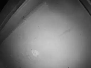 Camsoda Watch Live Sex Cams of voyeurcam-jb-room-7