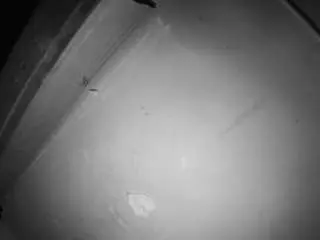 Camsoda Free Porn Cam of voyeurcam-jb-room-7
