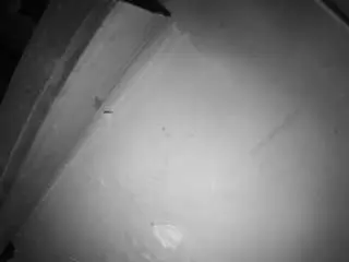 Camsoda Private Sex Chat of voyeurcam-jb-room-7