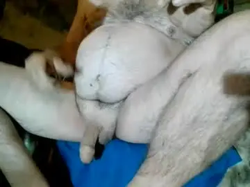 Chaturbate Live Porn of belacska6