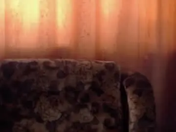 Chaturbate Live Sex of porn88s