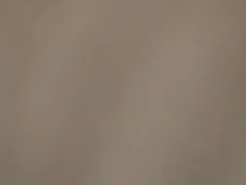 Chaturbate Best Webcam of amorlin