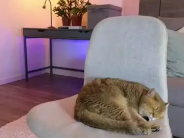 Chaturbate Adult Webcam of sultryandrewww
