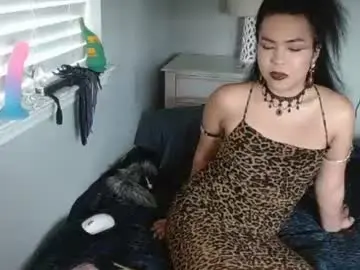 Chaturbate Live Porn of transkai