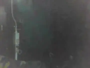 Chaturbate Best Webcam of beccabee37