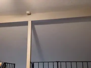 Chaturbate Live Porn of meanfinger