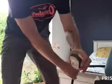 Chaturbate Best live sex cam show of bi_french69