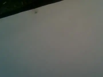 Chaturbate Live Porn of kristo2323