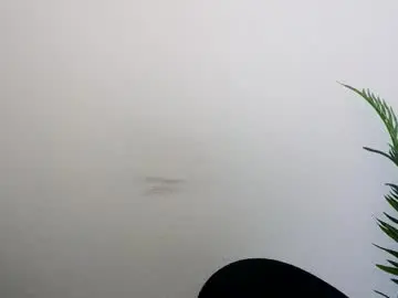 Chaturbate Live Sex of veryveryshygirl