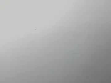 Chaturbate Adult Webcam of sukihana