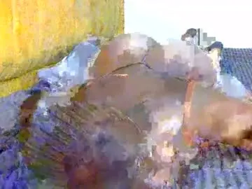 Chaturbate Adult Webcams of assmaticsandy