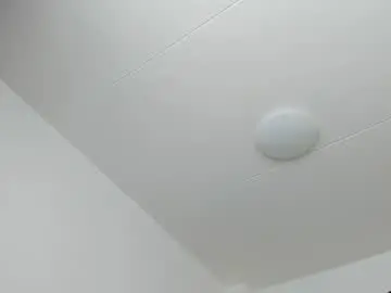 Chaturbate Live Sex Cam of 200gentleman