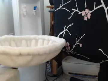 Chaturbate Adult Webcam of bbwmilfforcamfun